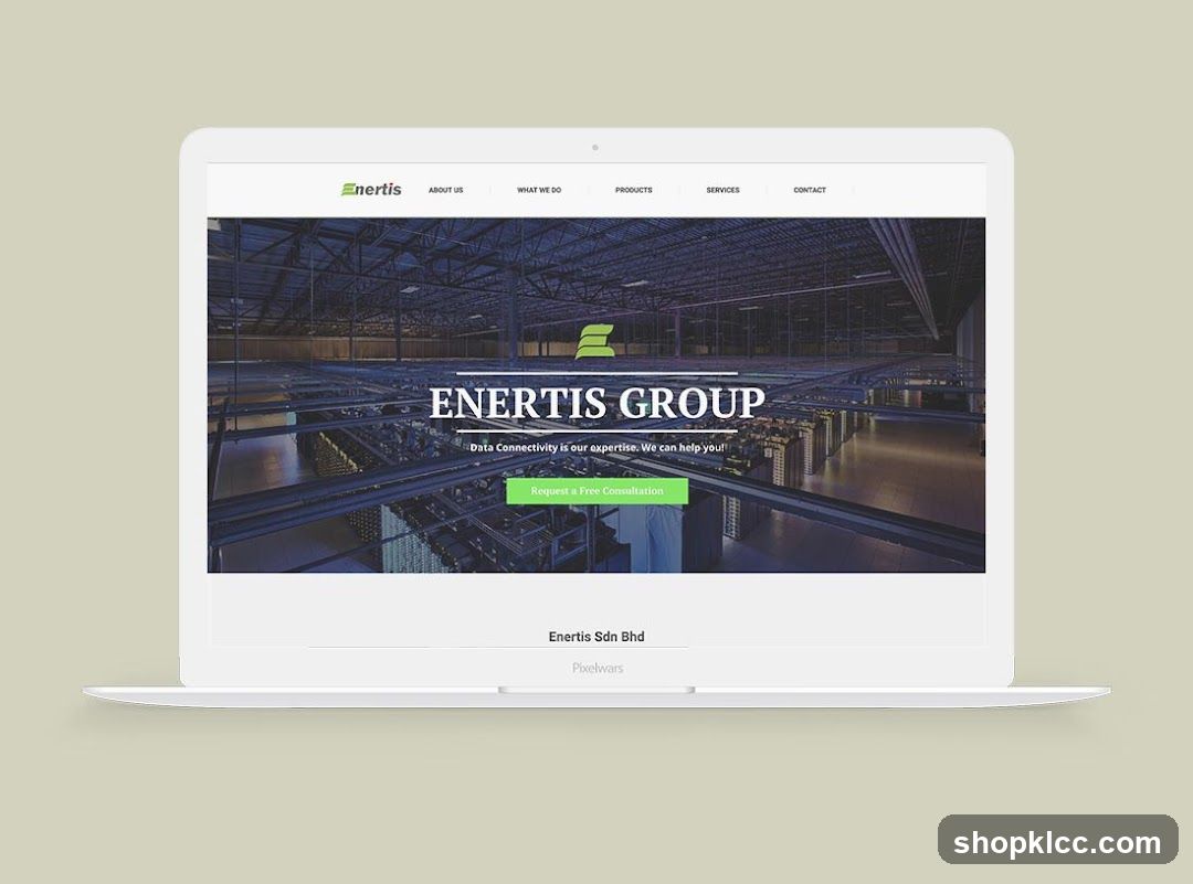 Enertis Group Website