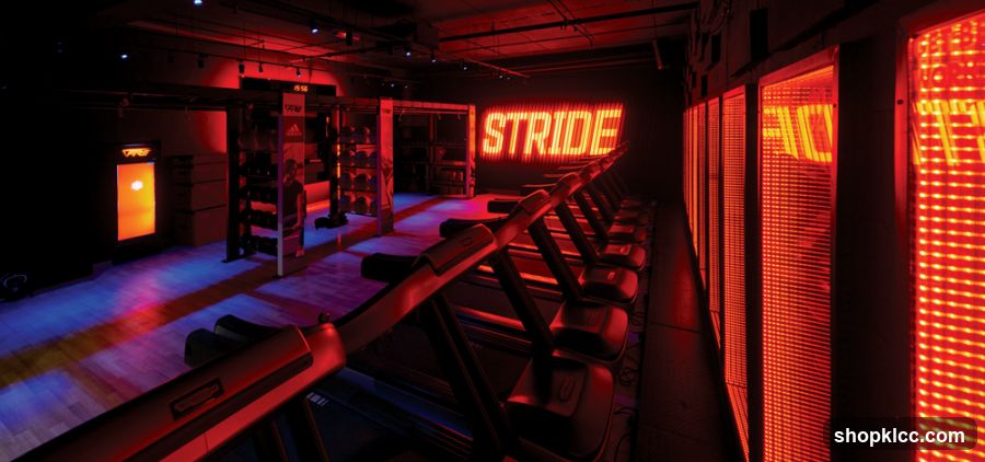Gym Interior with Treadmills