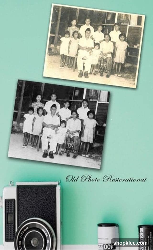 Old Photo Restoration