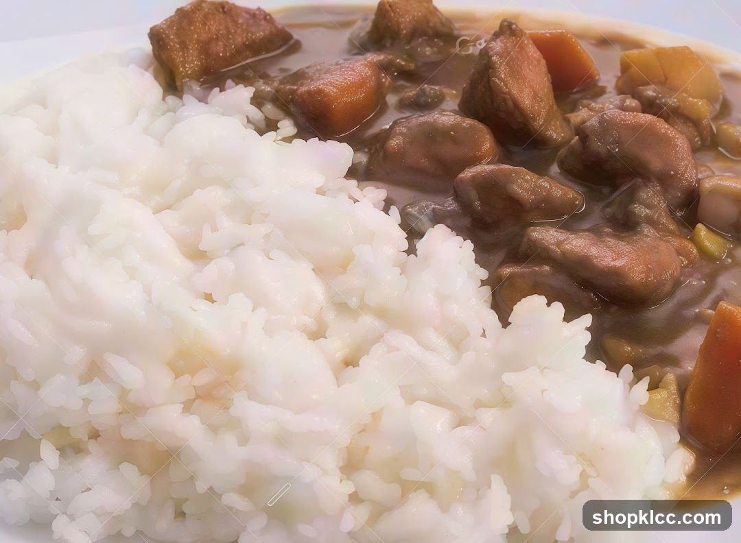 Curry with Rice