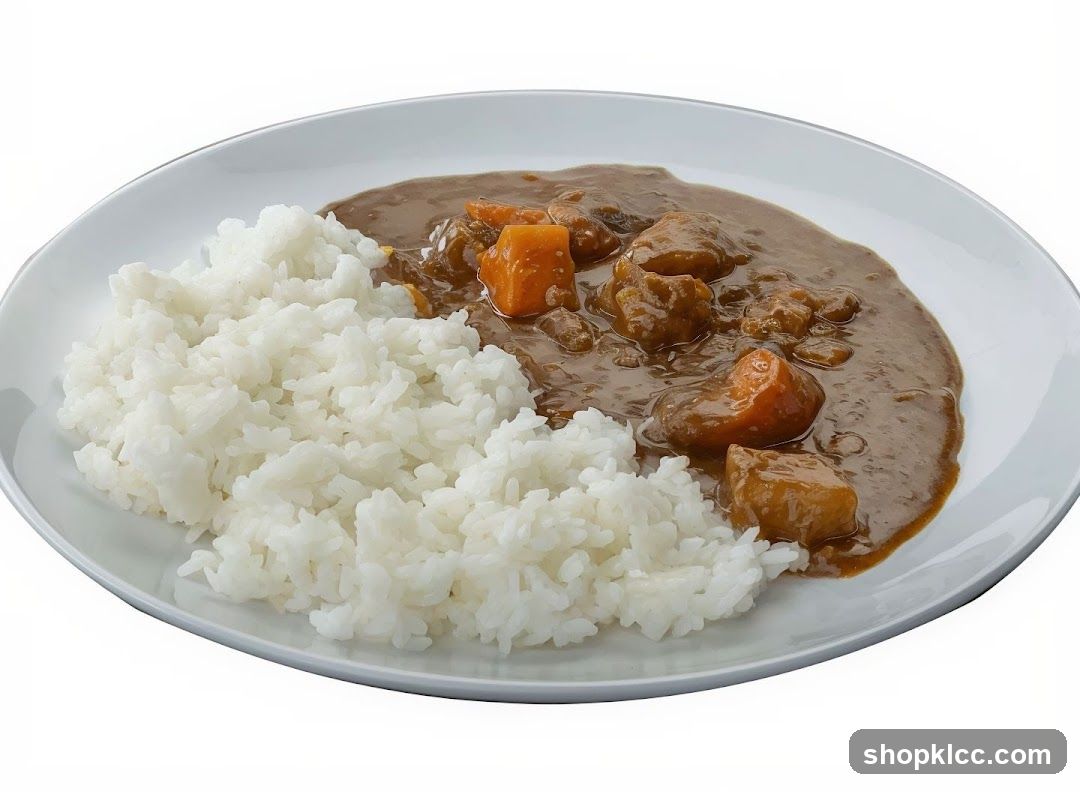 Curry and Rice