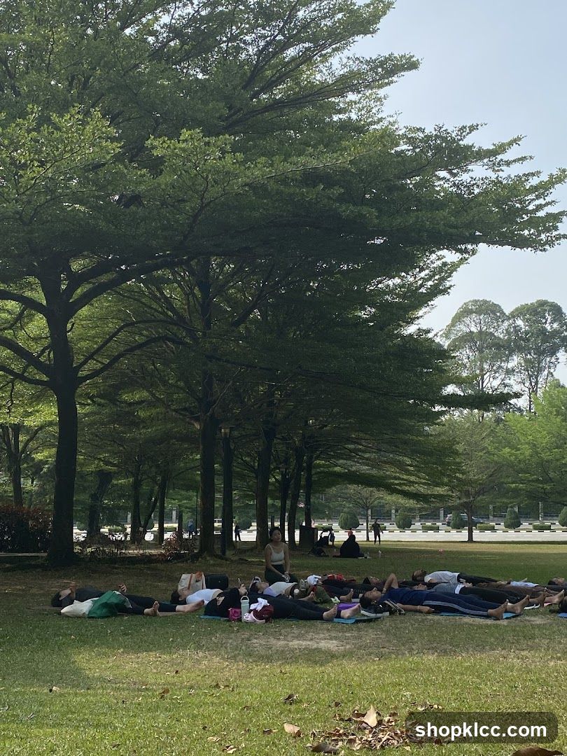Outdoor Yoga Session