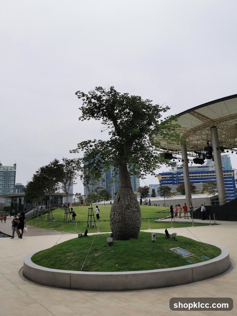 Tree in Urban Park