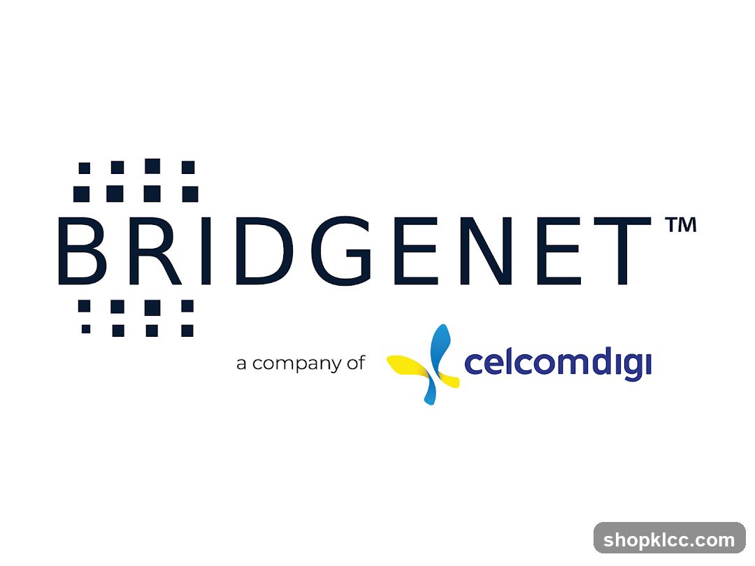 Bridgenet Solutions Sdn. Bhd.