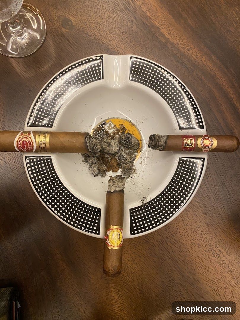 Cigars in an Ashtray