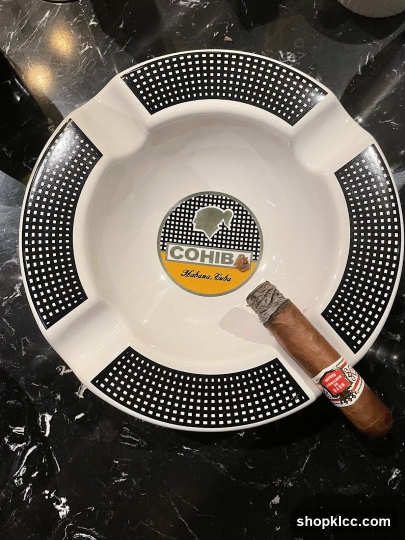 Cigar Ashtray with Cigar
