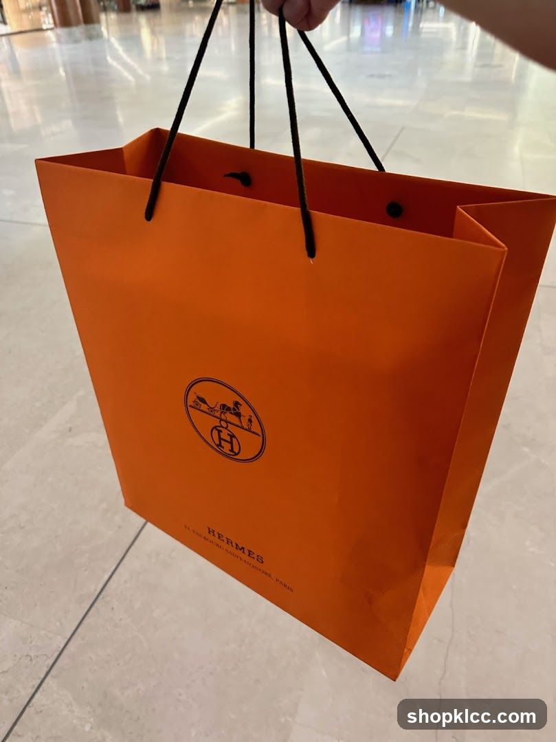 Hermes Shopping Bag