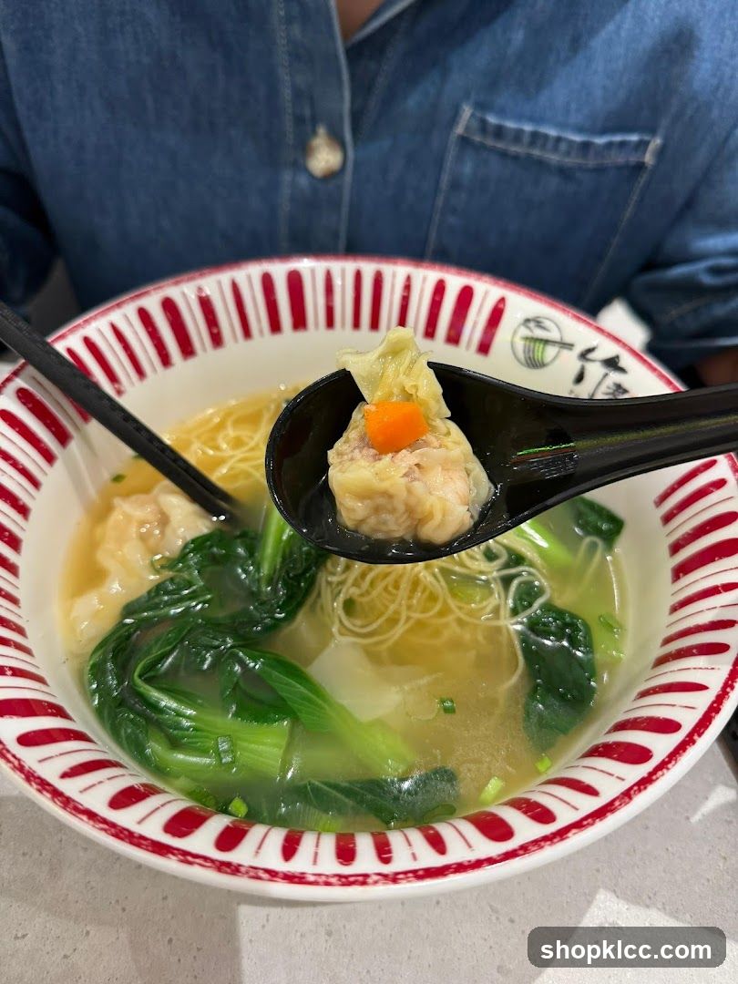 Wonton Noodle Soup