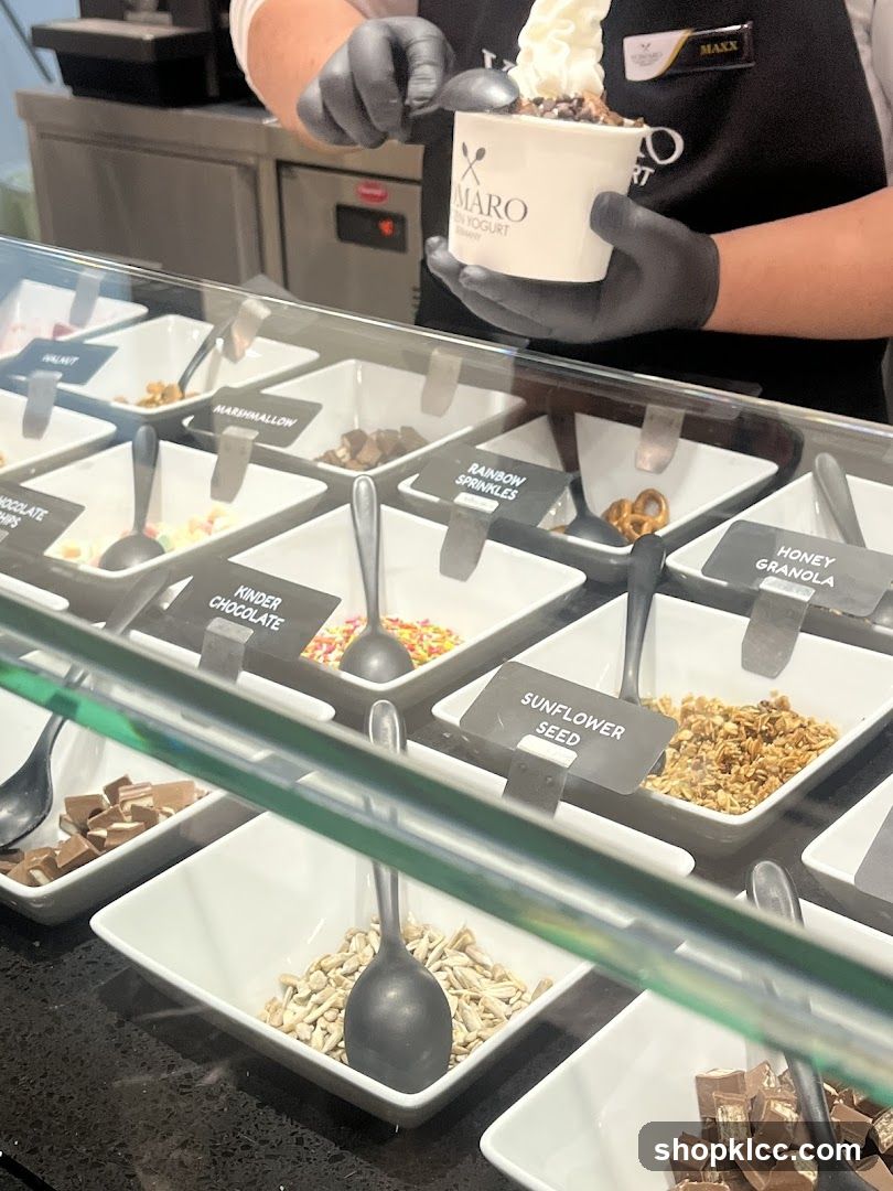 Frozen Yogurt Toppings