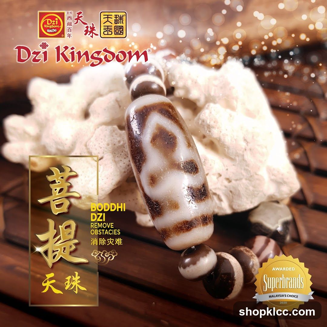Dzi Kingdom Bodhi Dzi Bracelet