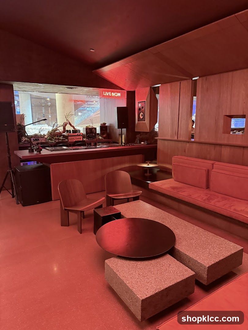 Modern Lounge with DJ Booth