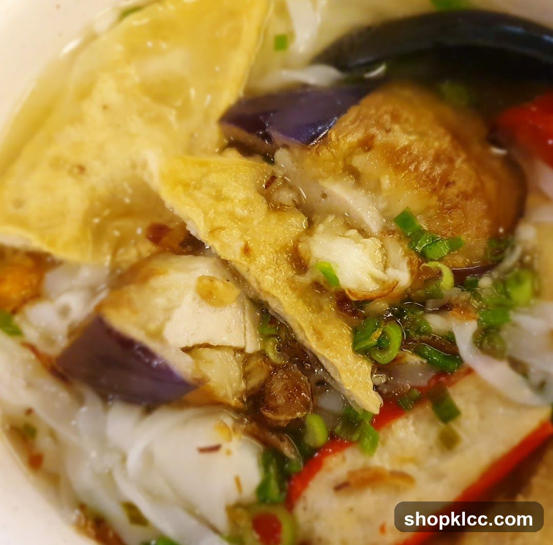Noodle Soup with Eggplant and Tofu