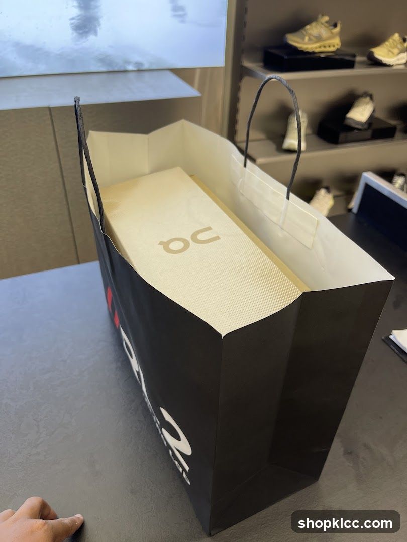 Shopping Bag with Shoe Box