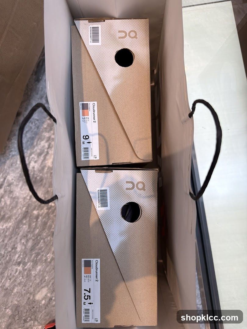 Two Shoe Boxes in a Shopping Bag