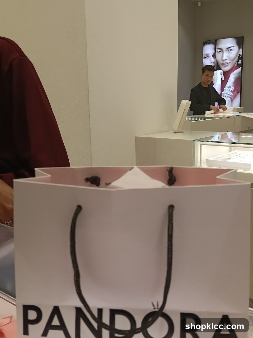 Pandora Shopping Bag