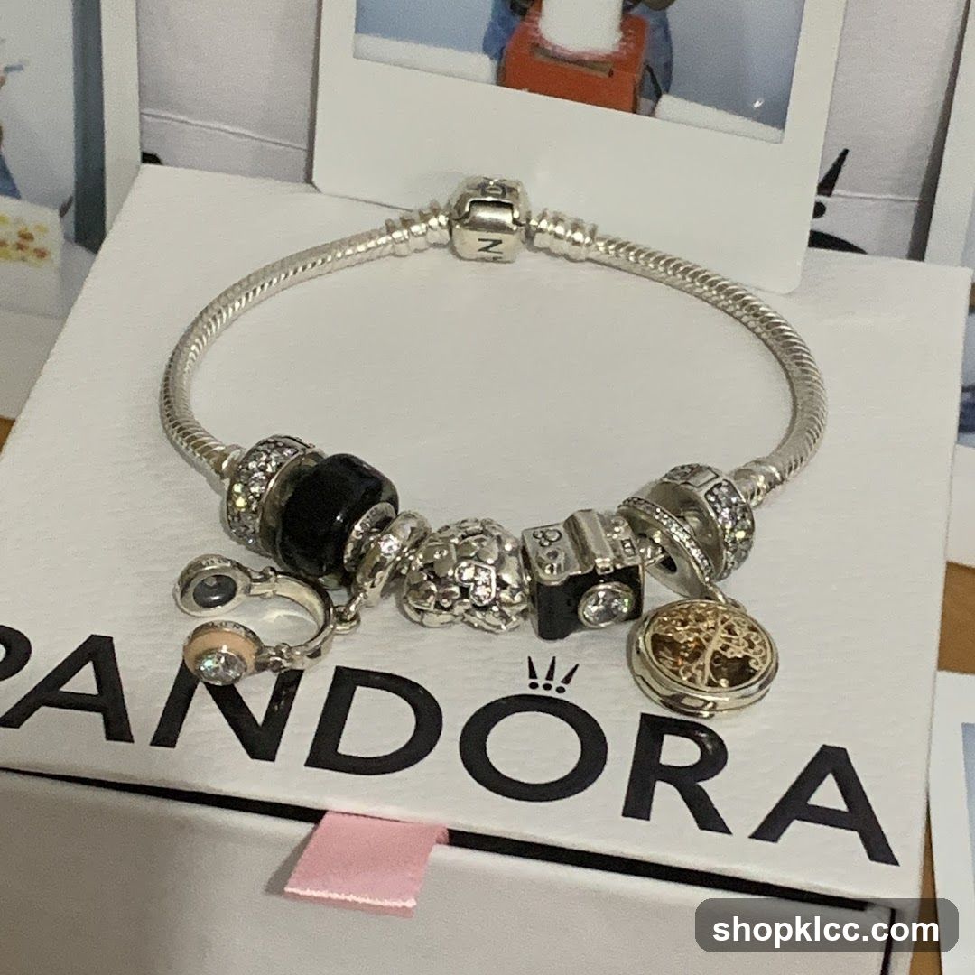 Pandora bracelet with charms