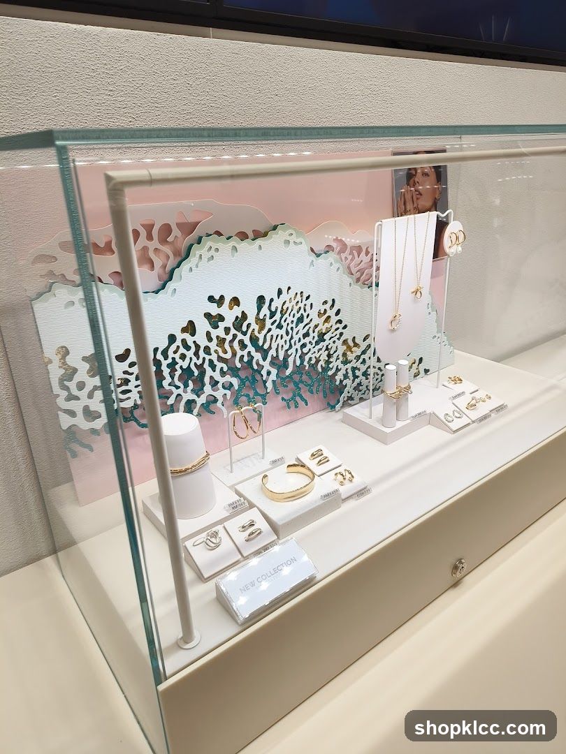 Jewelry Display Case