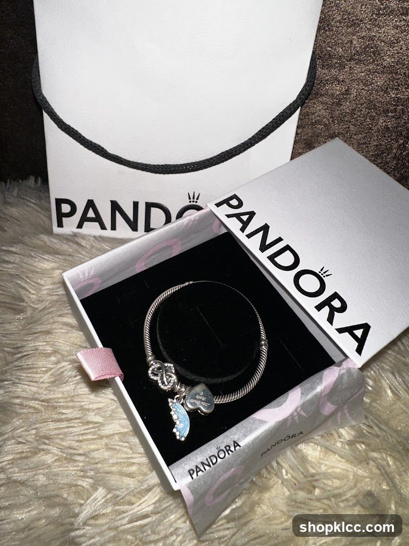 Pandora Bracelet and Packaging