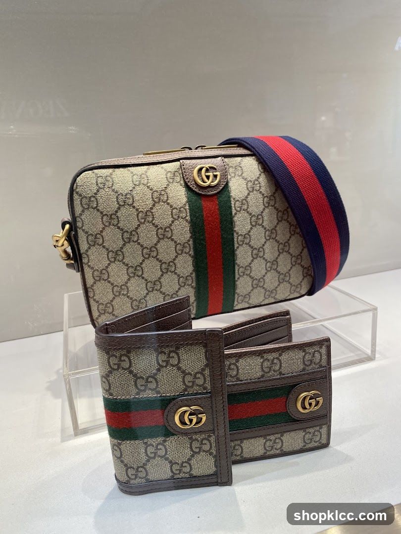 Gucci Wallet and Bag