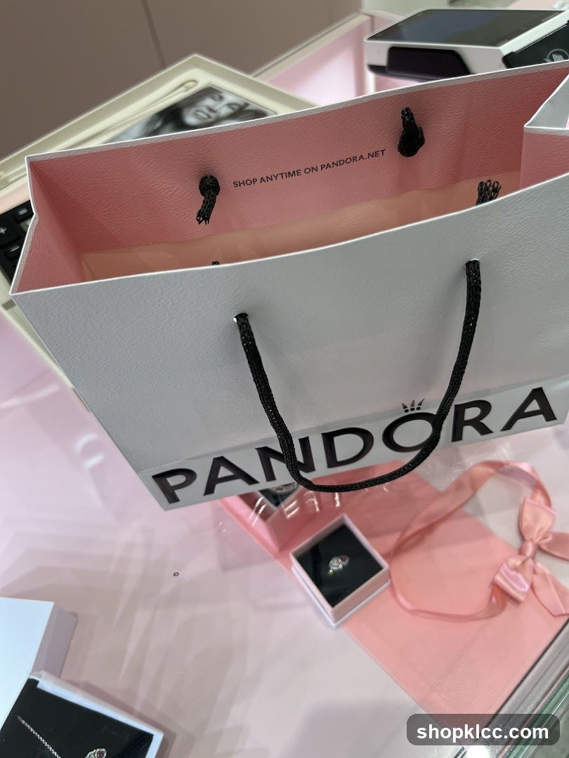 Pandora Shopping Bag and Ring