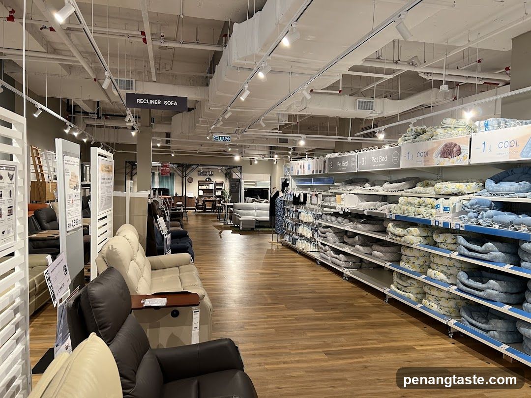 Furniture and Pet Bed Store Interior
