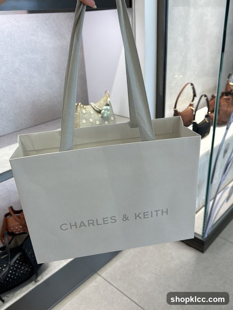 Charles & Keith Shopping Bag