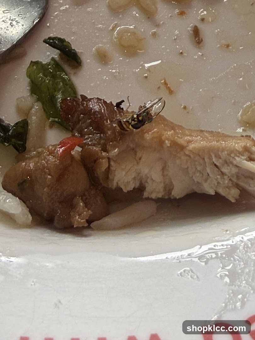 Insect on food