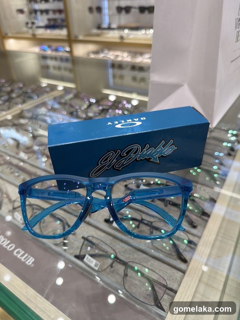 Sunglass Art