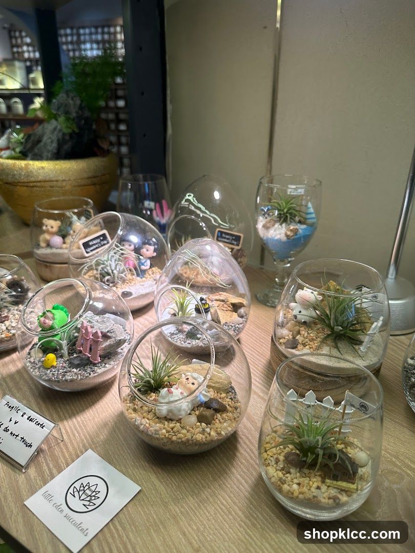 Little Eden Succulents KL Store