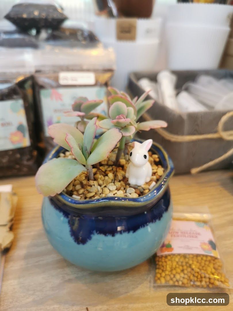 Succulent Plant with Rabbit Ornament