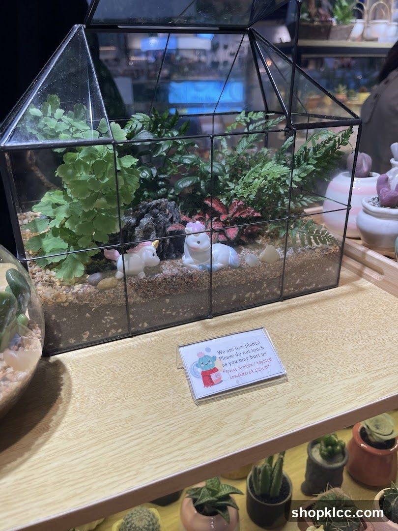 Terrarium Display with Signage