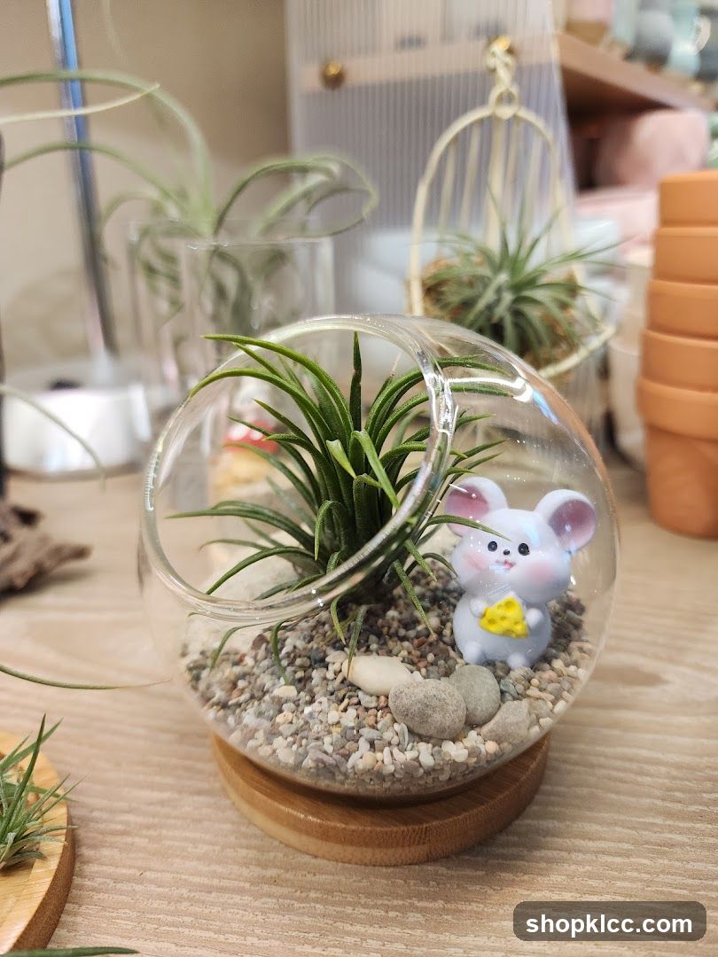 Air Plant Terrarium with Cute Mouse Figurine