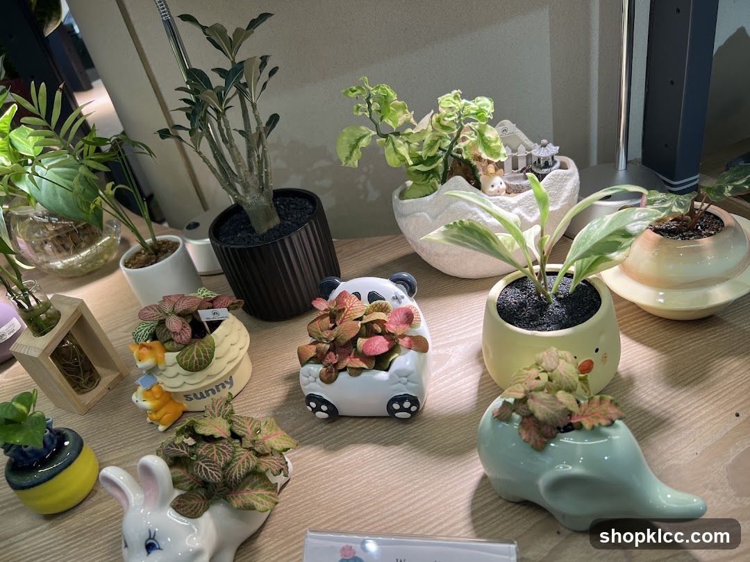 Decorative Plant Arrangement on Desk