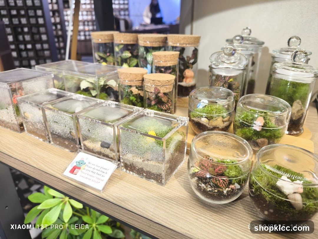 Terrarium Display
