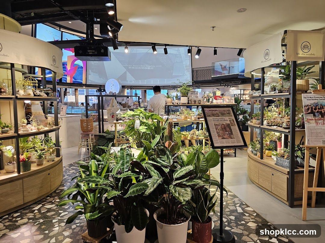 Indoor Plant Shop Interior
