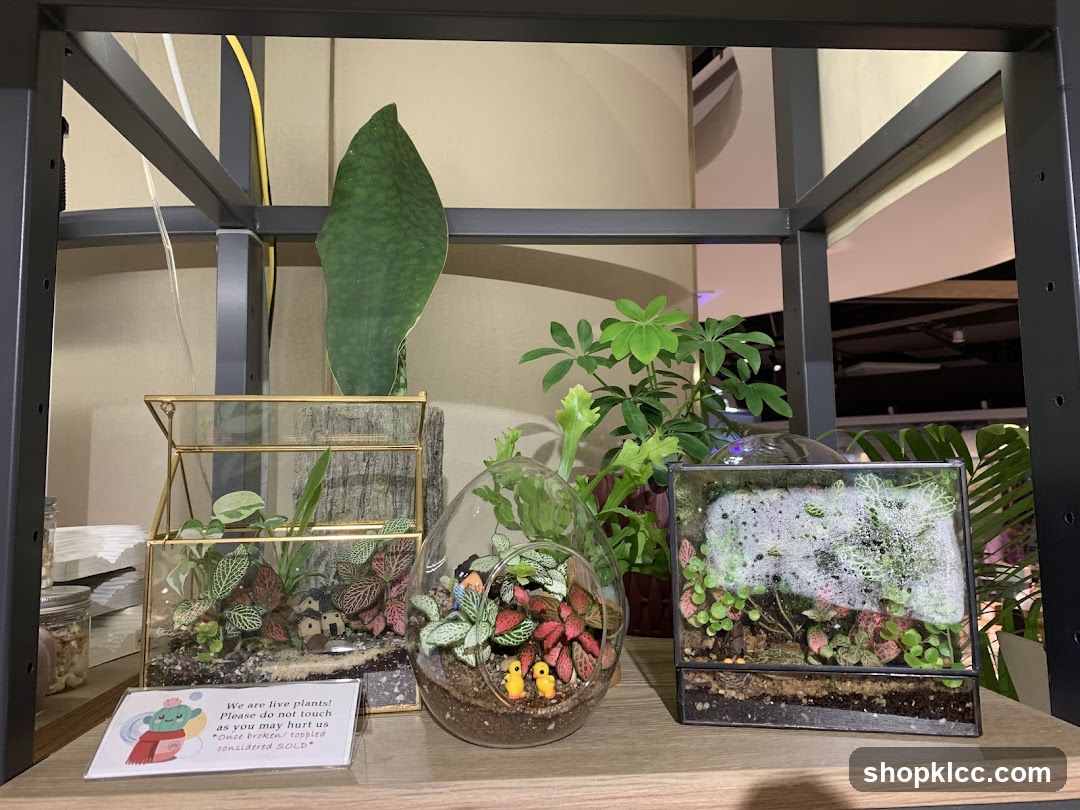 Terrarium Display with Plants and Signage