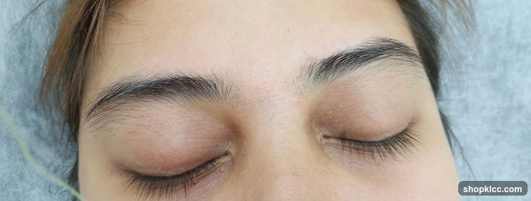 Eyebrow and Eye Makeup Application