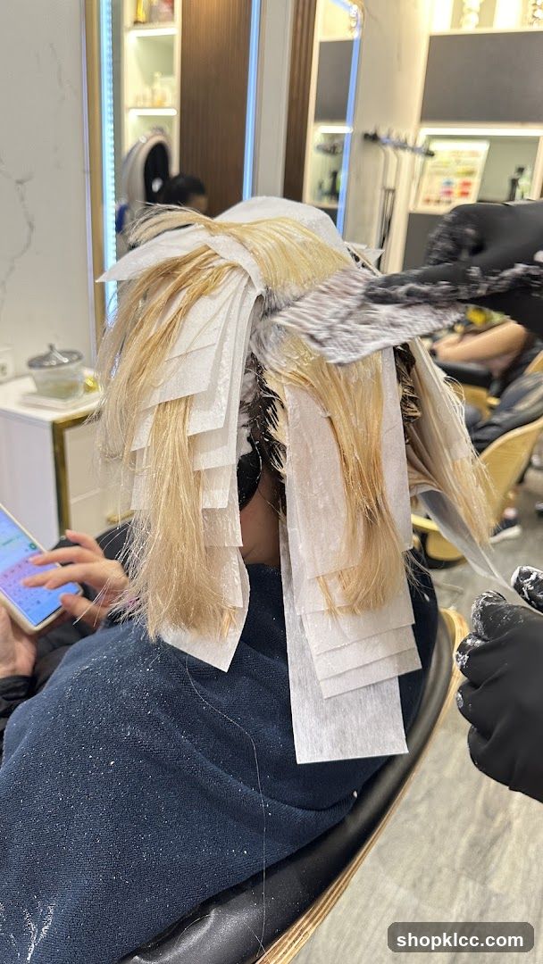 Hair Coloring Process in Salon