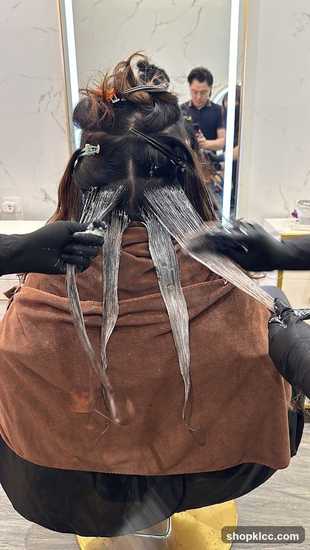 Hair Coloring Process in Salon