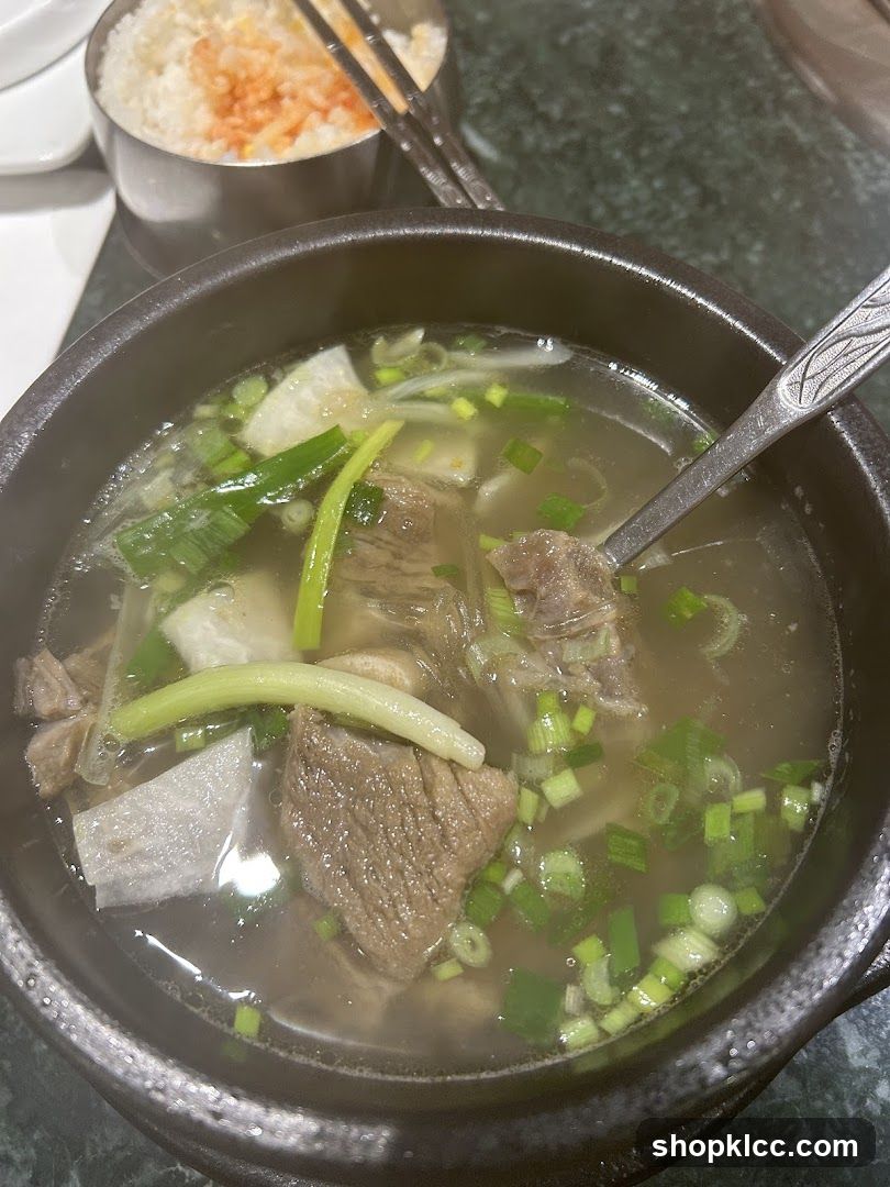 Bowl of Beef Soup with Green Onions
