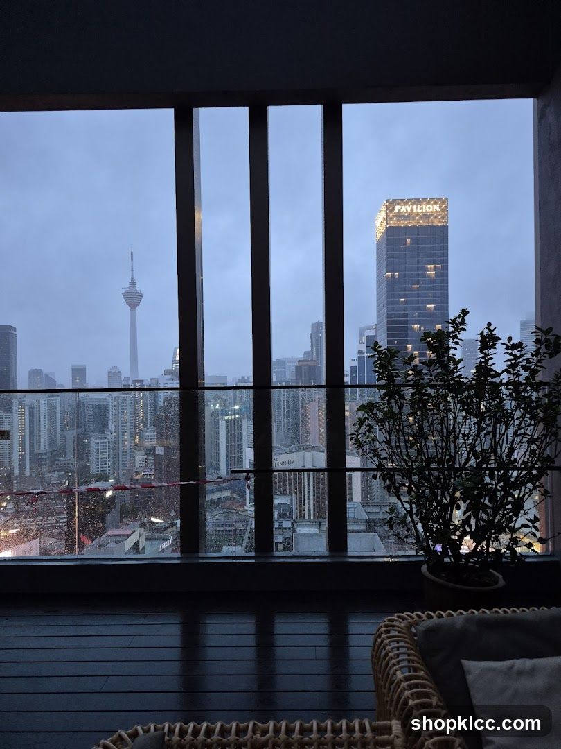 City View from High Floor
