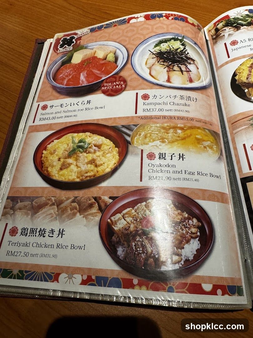 Rice Bowls