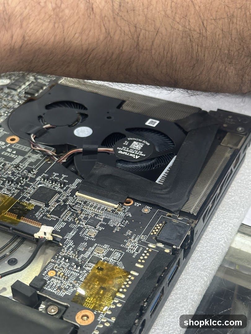 Laptop Internal Components