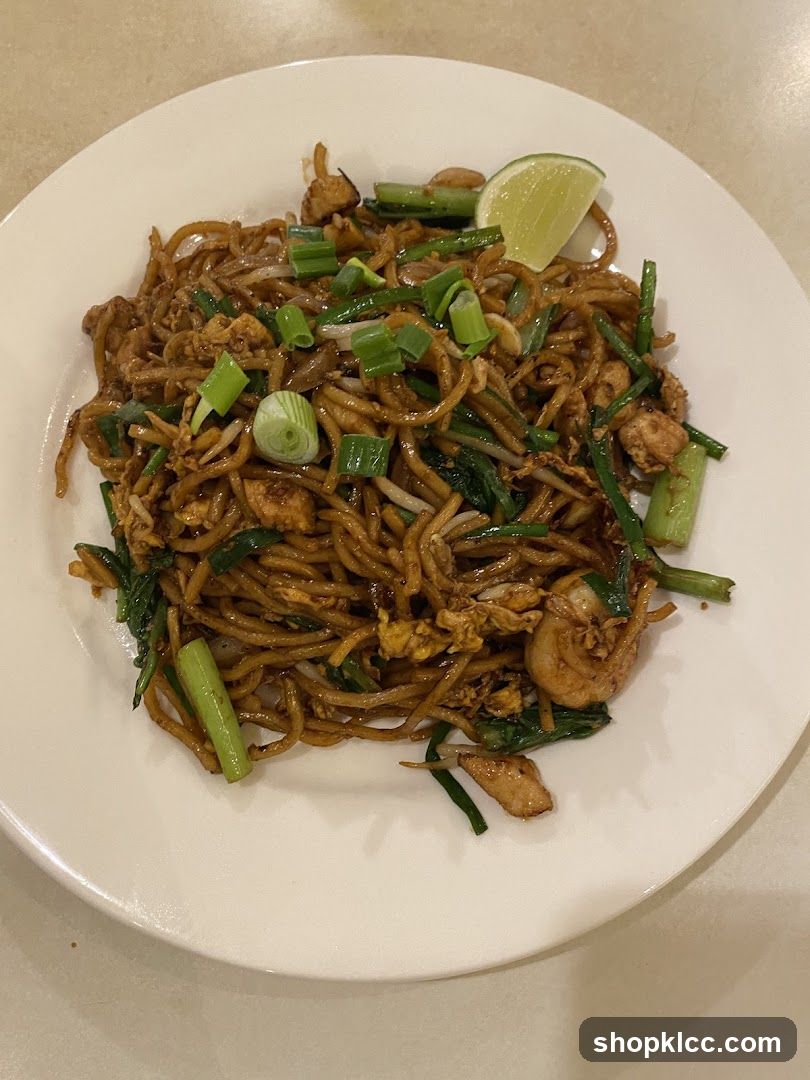 Stir-fried noodles with chicken and green onions