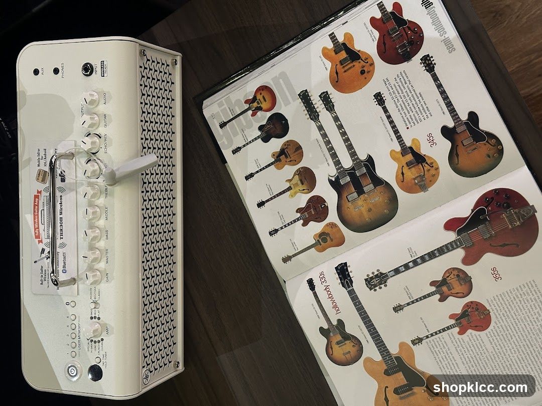 Guitar amplifier and catalog