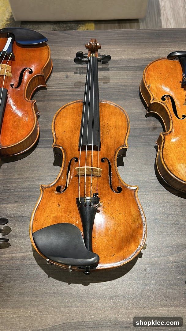 Violins on Display