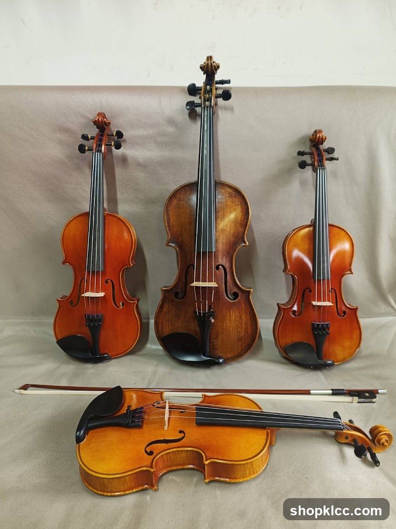Violins and Bow