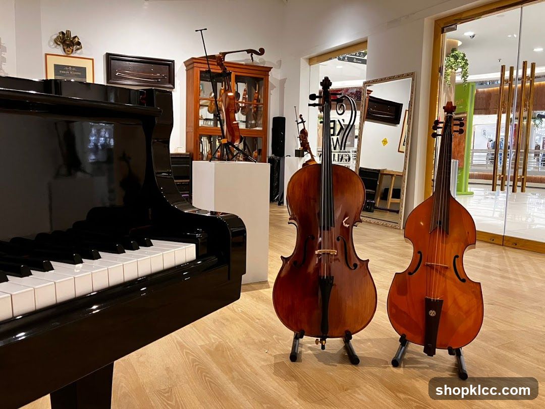 Musical Instruments Display
