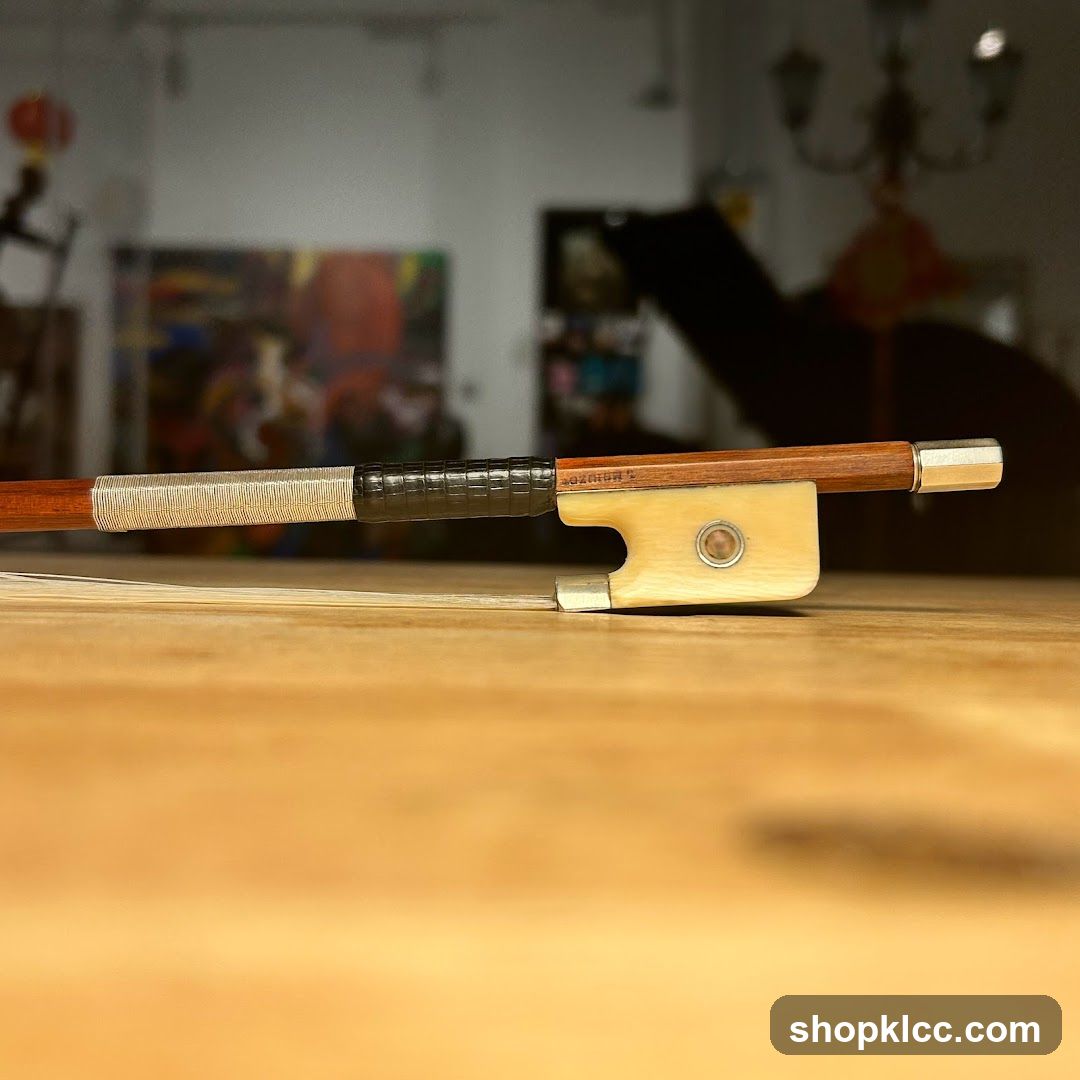 Violin Bow Detail
