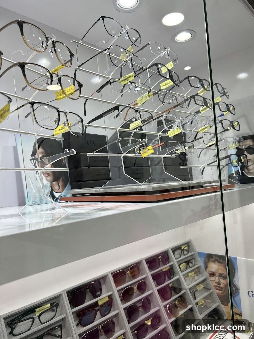 Eyeglasses and Sunglasses Display